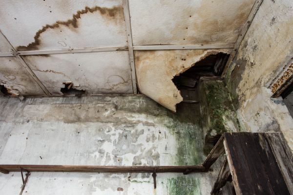 Water Damage Service in Sun City