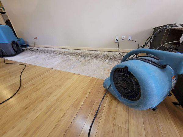 Water Damage Mitigation in Sun City