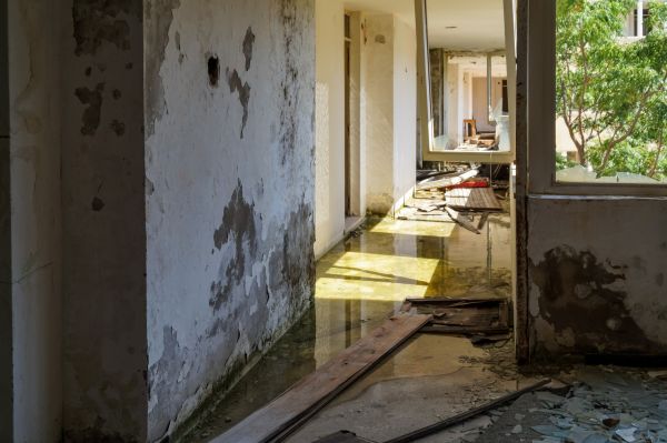 Cost of Water Removal Service in Sun City