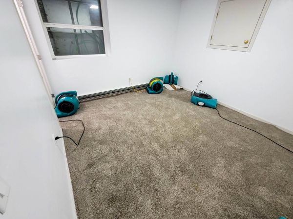 Flood Restoration Service in Sun City