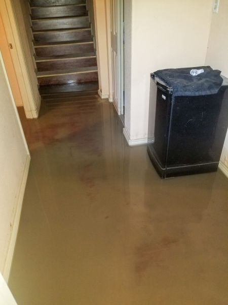 Cost of Emergency Water Removal in Sun City