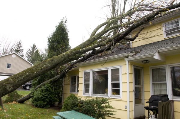 Hurricane Damage Repair in Sun City