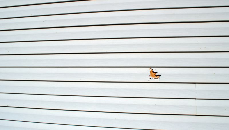 Siding and Exterior Repair